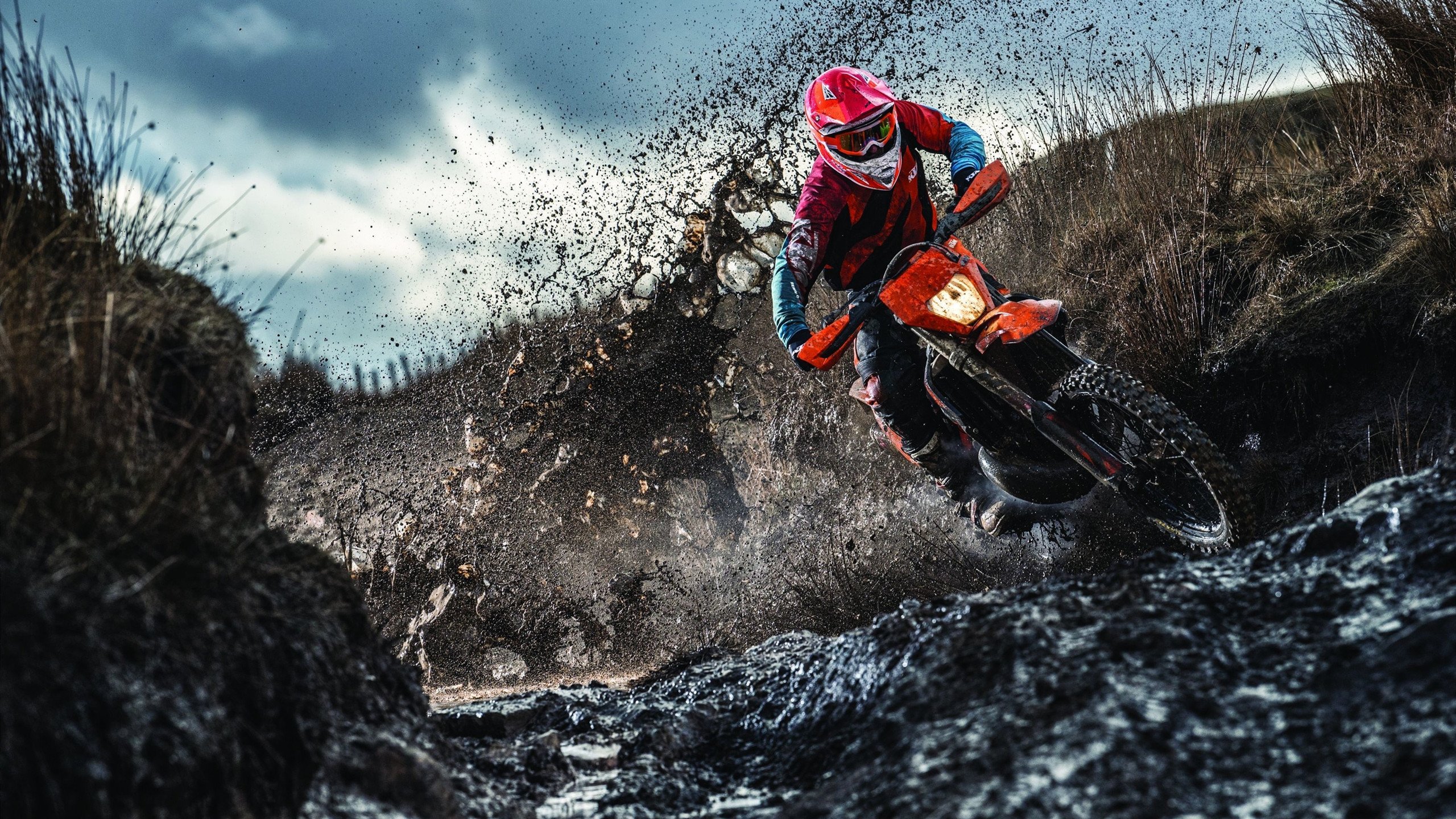 教科书级掌控力，布伦森率队力克灰熊的战术启示