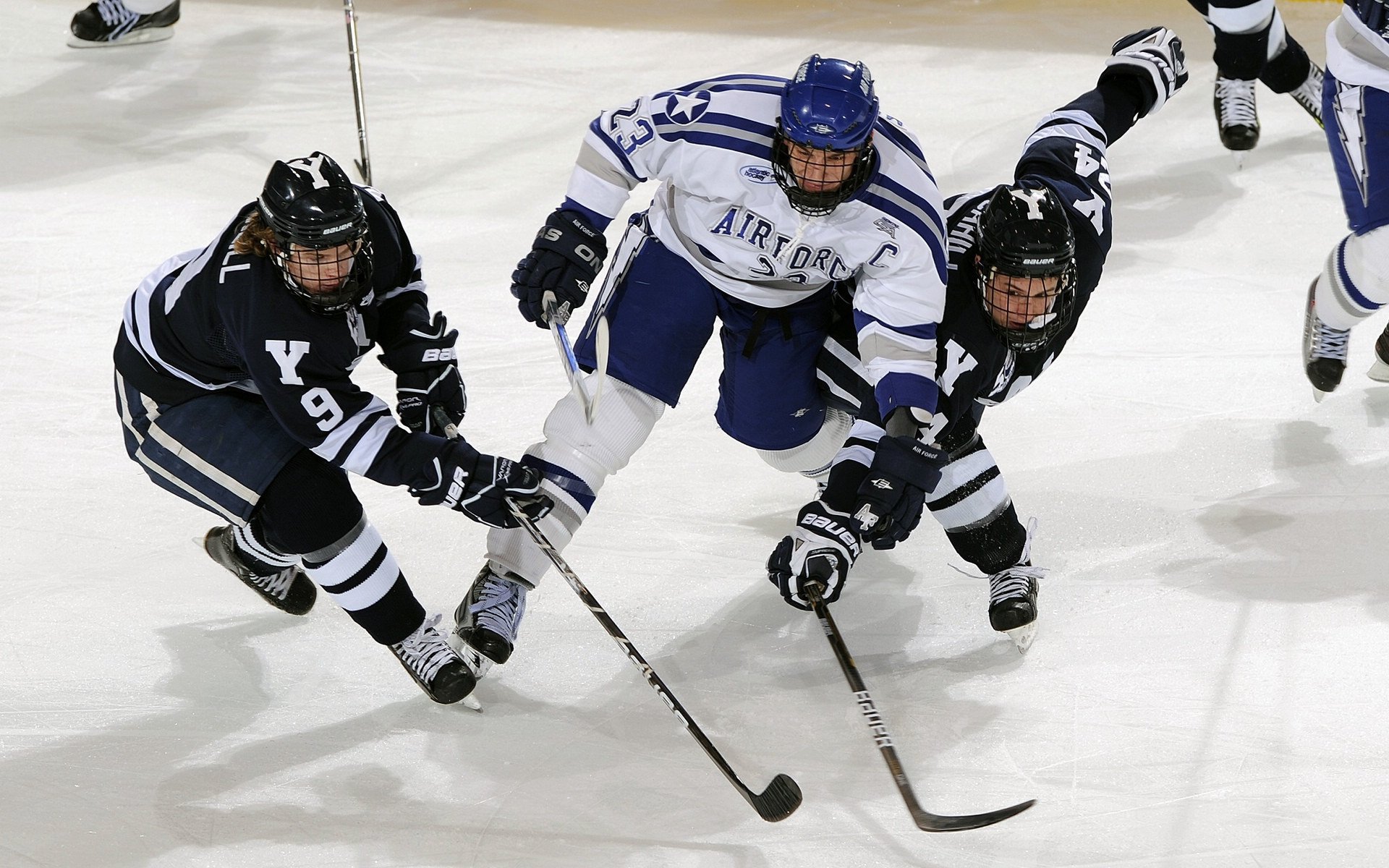 赛道奇迹,威廉姆斯惊天逆转,诺里斯领军夺魁